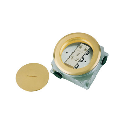 HGD-130Y<BR>Single phase 2 & 3 pole 10A 250V