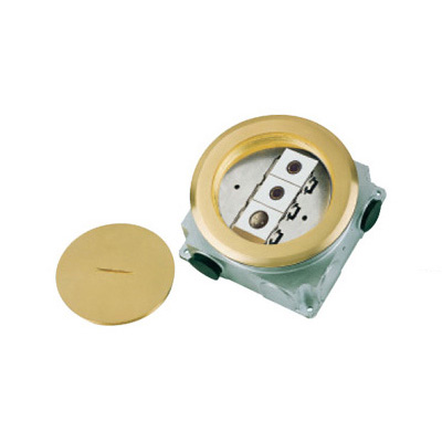 HGD-130Y<BR>2 gang 6.35 speaker socket<BR>1 gang Kalon socket