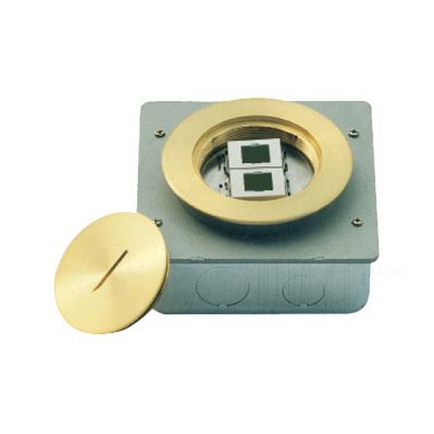 HGD-100Y<BR>2 gang AVAYA computer socket (module supply separate)