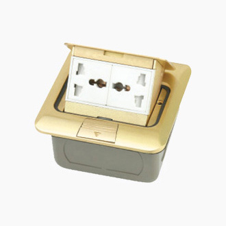 HGD-1FH<BR>2 gang 3 pin Multi-function socket